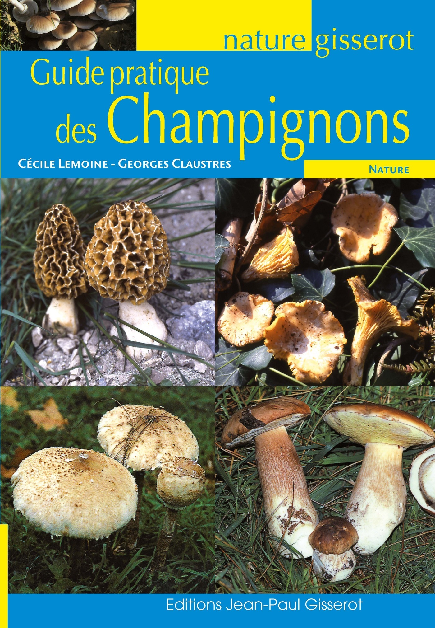 Brosse à champignons - Botanique Editions