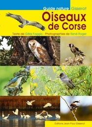 Oiseaux de Corse