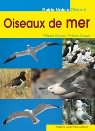 Oiseaux de mer