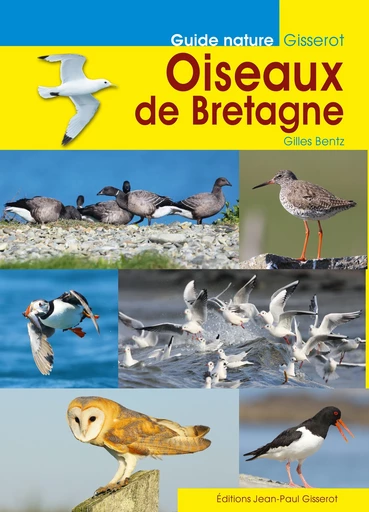 Oiseaux de Bretagne - Gilles Bentz - GISSEROT