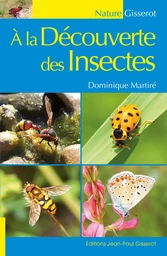 À la découverte des insectes